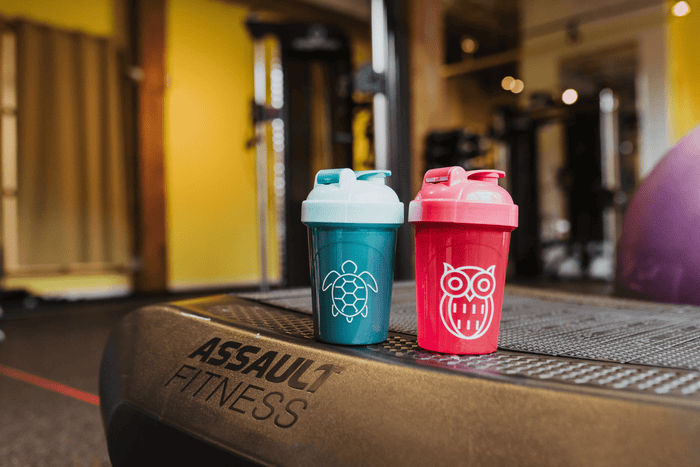 Jeela zoo shaker bottles in the gym